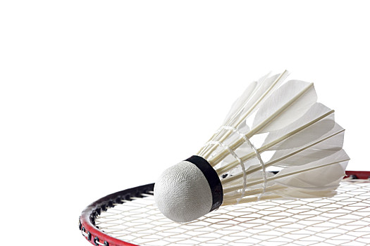 他们的过早 他们的过早